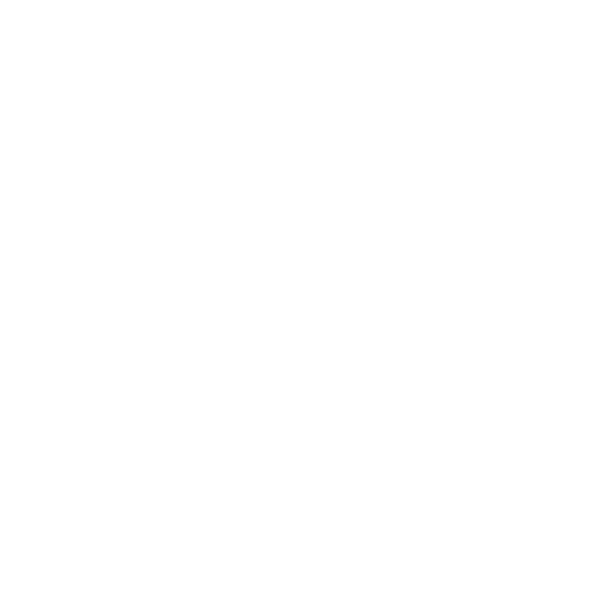 Aegisora Logo